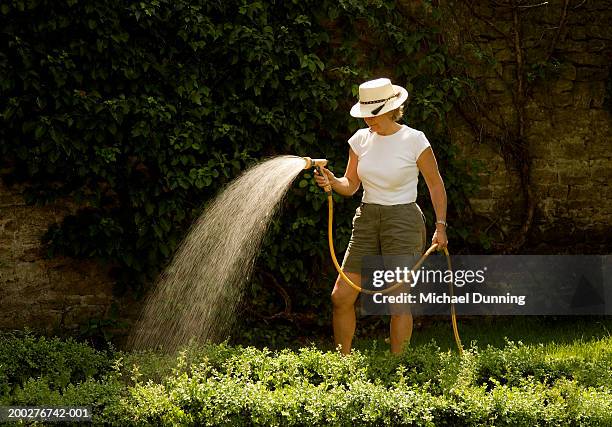 woman watering garden with hose - garden hose foto e immagini stock