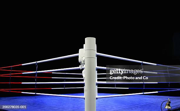 boxing ring - boxing or wrestling ring or cage animal stock pictures, royalty-free photos & images