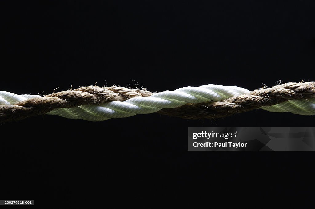 Two Ropes Inrtwined White And Brown Rope Intertwined High-Res Stock Photo - Getty Images