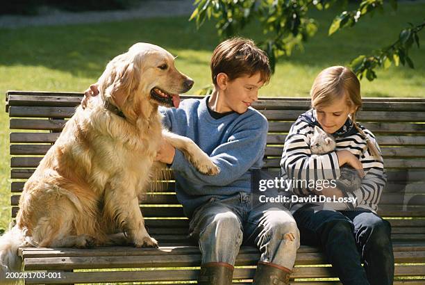 children (6-9) with cat and dog sitting on bench - pet owner cat stock pictures, royalty-free photos & images