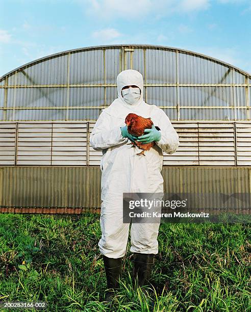 mature man in clean suit holding chicken on farm, portrait - scared chicken stock pictures, royalty-free photos & images