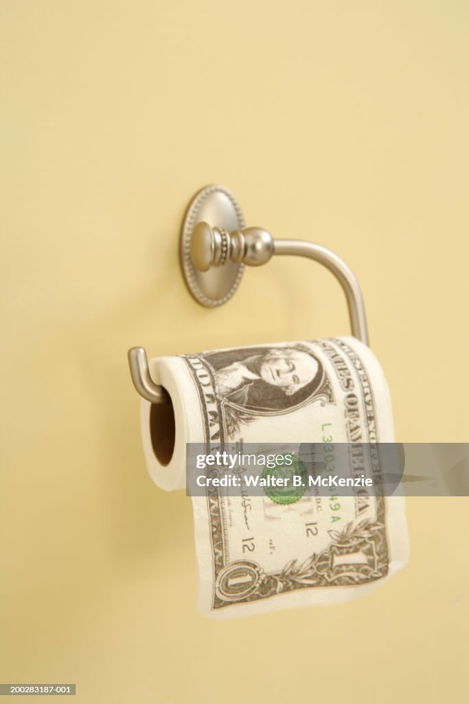 US dollar bill on bathroom tissue roll