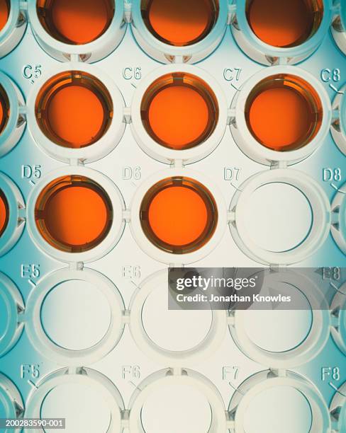 orange liquid in wells of microtiter plate, close-up, elevated view - laborgerät stock-fotos und bilder