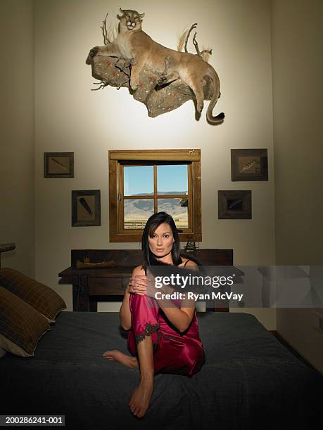 woman sitting on bed, stuffed mountain lion hanging on wall, portrait - cougar women stockfoto's en -beelden