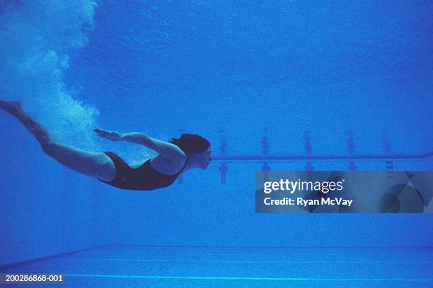 Basic Dive Pool Side 3,886 Pool Water Side View Stock Photos, High-Res Pictures, and Images ...