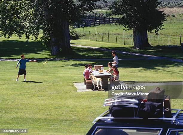 family picnicking in park, boy (8-9) throwing flying disc, elevated view - car pet barrier stock pictures, royalty-free photos & images