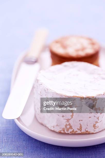 brie, knife and crackers on plate, close-up, focus on brie - crackers stock pictures, royalty-free photos & images