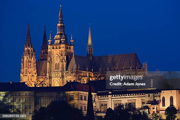 czech republic, prague, prague castle, night - cathédrale saint vitus photos et images de collection