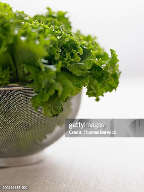 organic green leaf lettuce in metal colander - leaf lettuce stockfoto's en -beelden