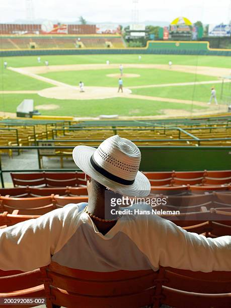 teenage boy (15-17) watching baseball game, rear view - stadion sitze stock-fotos und bilder