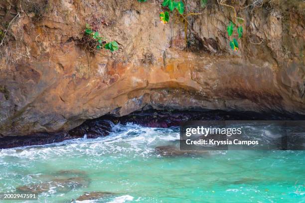 caribbean erosion - puerto viejo stock pictures, royalty-free photos & images