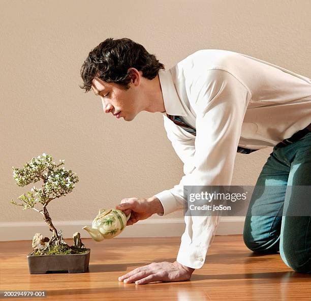 young man on floor watering bonsai plant with teapot, side view - bonsai fotografías e imágenes de stock