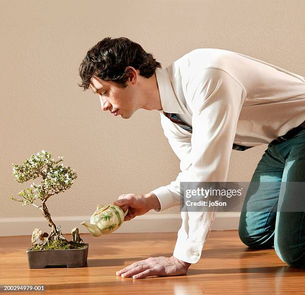 young man on floor watering bonsai plant with teapot, side view - bonsai tree stock pictures, royalty-free photos & images