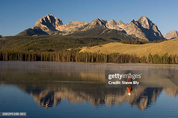 young male fly fisherman fishing in little redfish lake - redfish lake stock pictures, royalty-free photos & images