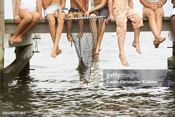 50 Boy Fishing Net Jetty Stock Photos, High-Res Pictures, and Images -  Getty Images