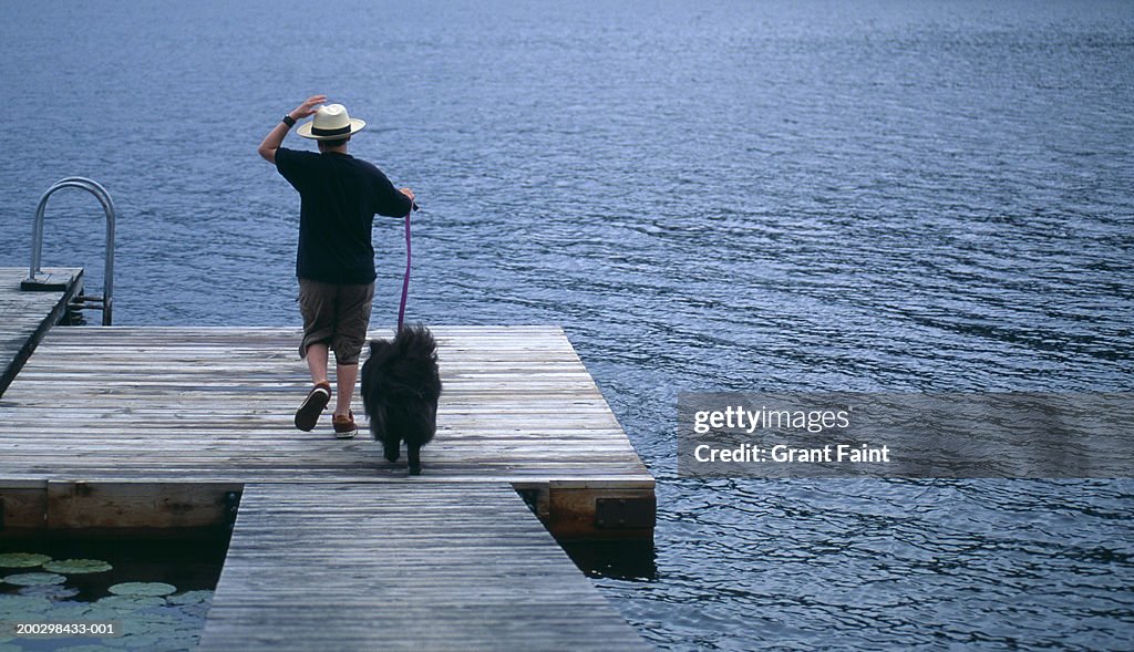 Boy (11-13) walking dog on dock, rear view, summer