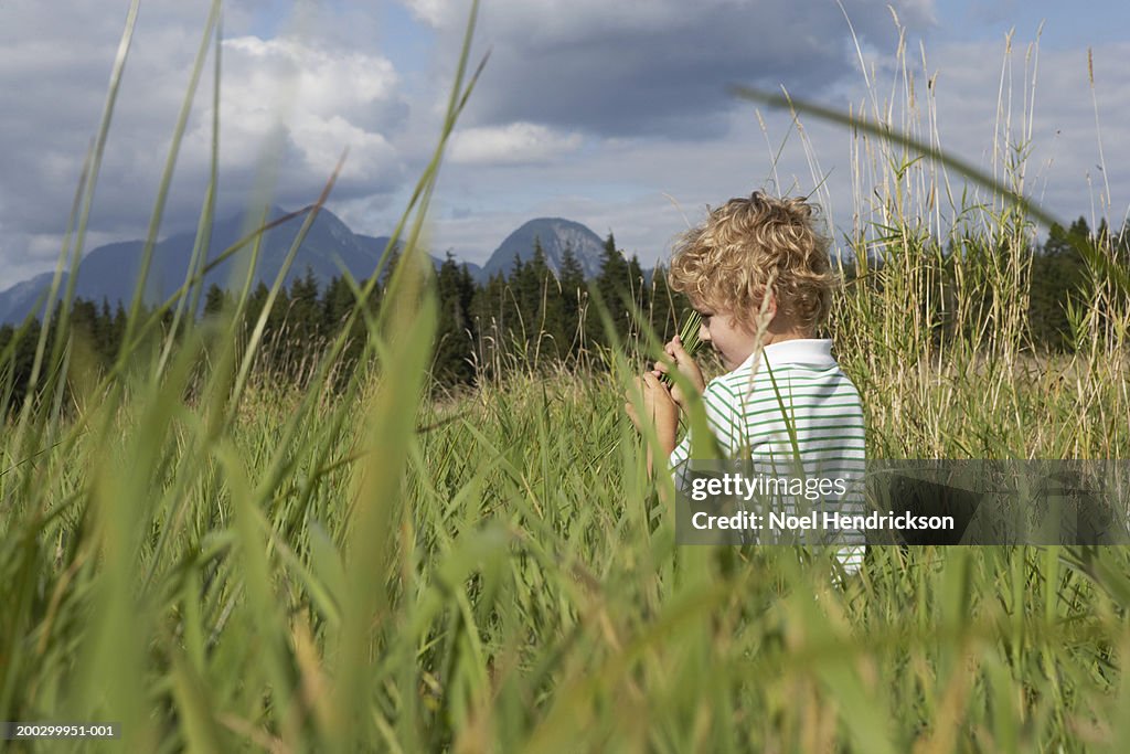 Boy (5-7 years) playing in long grass in rural landscape