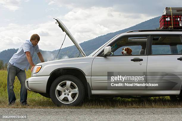 man checking engine of sports utility vehicle at roadside, side view, spaniel at front window - beaten up stockfoto's en -beelden