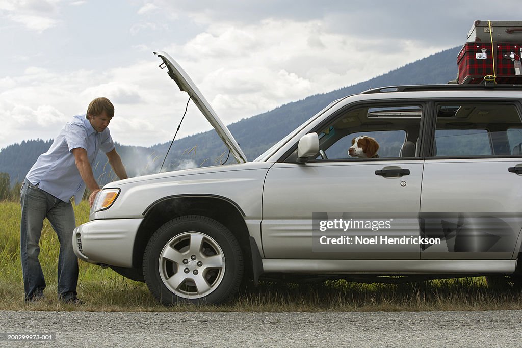 Man checking engine of sports utility vehicle at roadside, side view, spaniel at front window