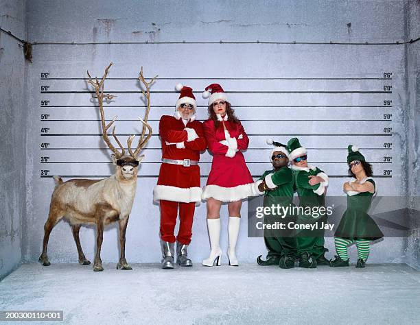 santa, helper, elves and reindeer in police identity parade, portrait - father christmas and elves stock pictures, royalty-free photos & images