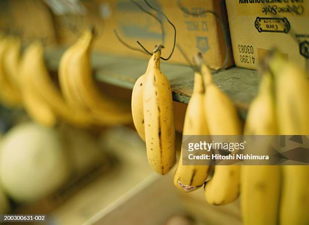 bananas in shop - bananenstaude stock-fotos und bilder