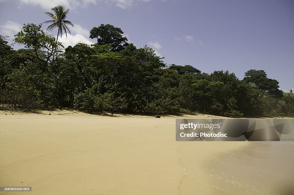 Deserted tropical beach