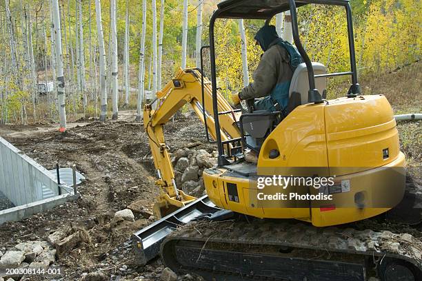 Man Using Backhoe Tree Removal Using Backhoe Photos and Premium High Res Pictures - Getty ...
