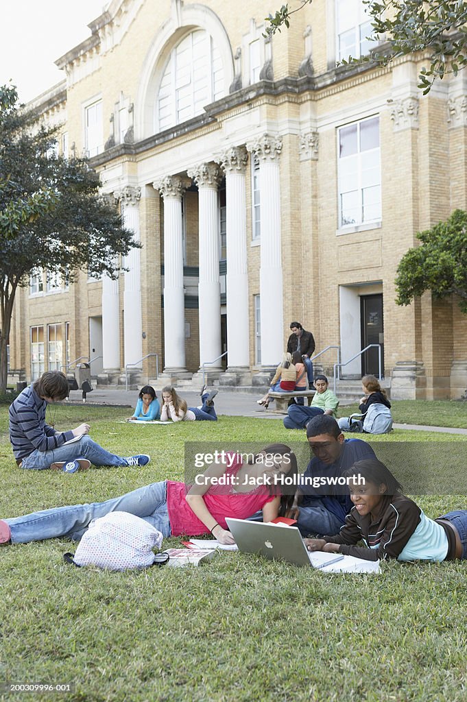 Group of teenagers sitting on a lawn