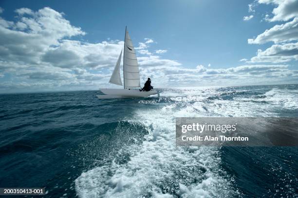 couple sailing catamaran - catamaran stock pictures, royalty-free photos & images