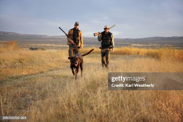 two men hunting with chocolate labrador, portrait - hunting stock-fotos und bilder