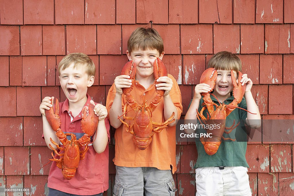 Three boys (6-8) holding lobsters, portrait