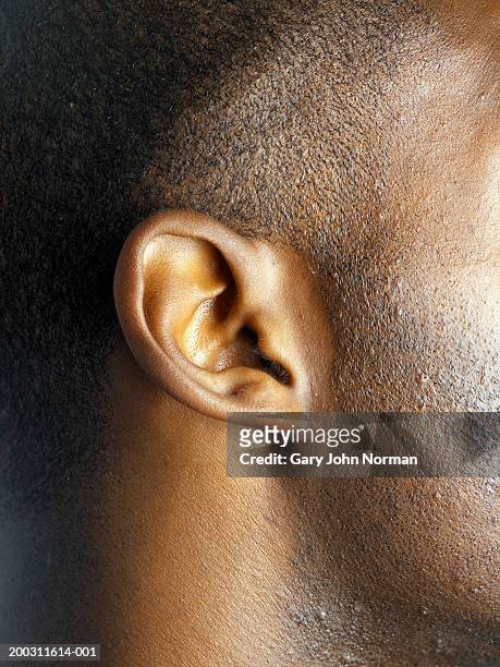 young man's ear, side view, close-up - ear close up foto e immagini stock