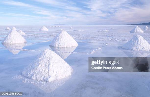 bolivia, potosi province, salar de uyuni salt pan - salina terra em estado natural imagens e fotografias de stock