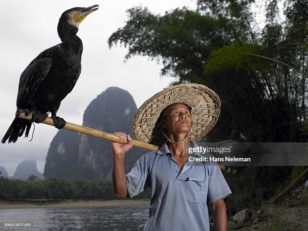 China, Guilin, senior fisherman with cormorant