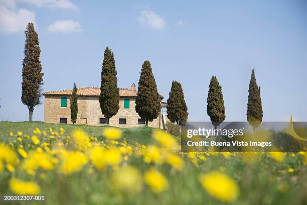 italy, tuscany, val d'orcia, pienza, farm house (focus on background) - vista posterior stock-fotos und bilder