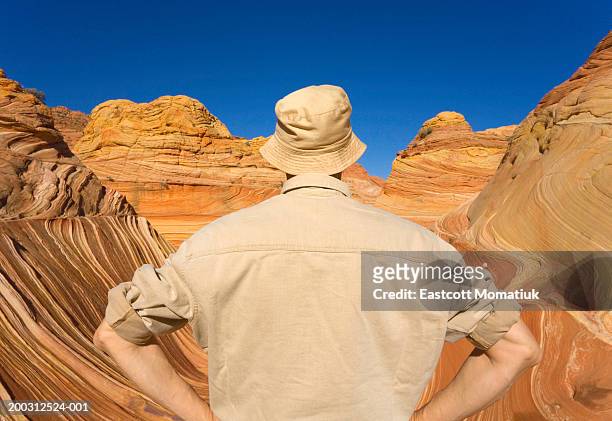mature man looking at sandstone buttes, rear view - bucket hat stock pictures, royalty-free photos & images