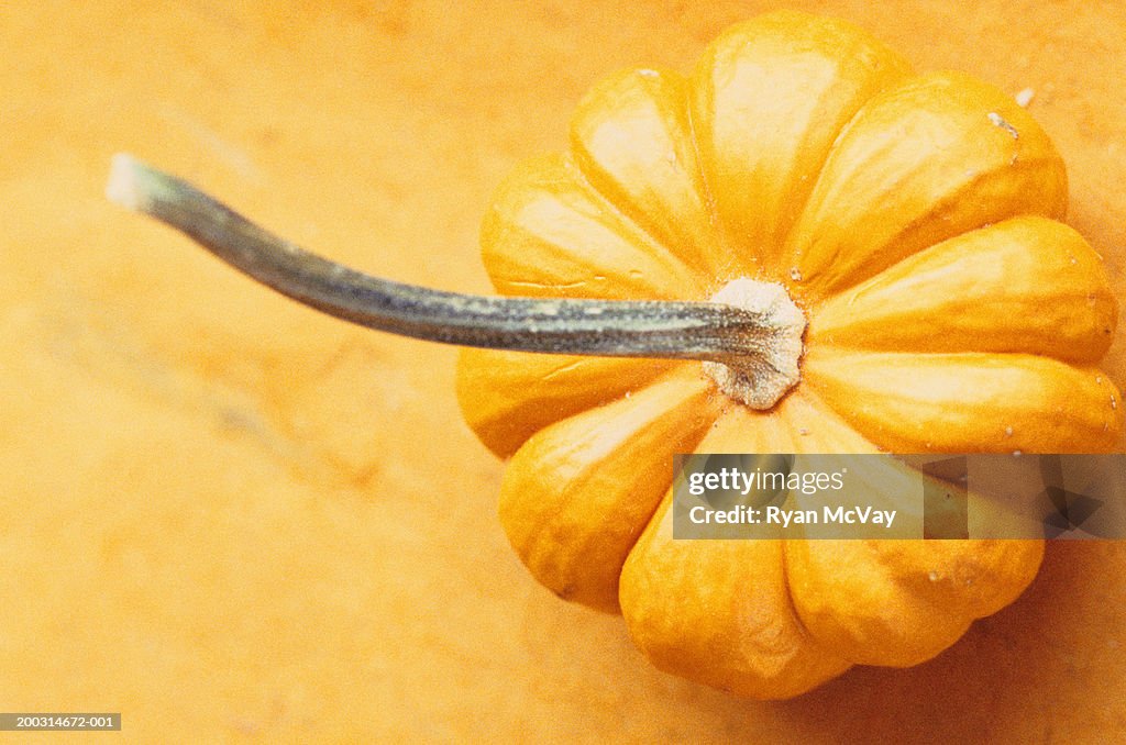 Small yellow pumpkin, close-up, elevated view