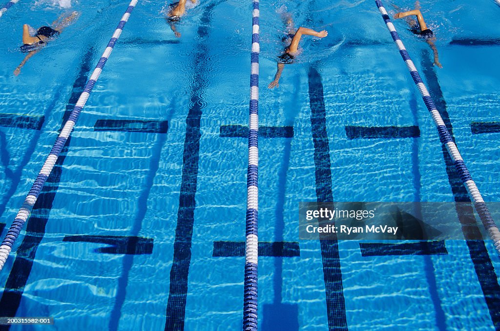 Four swimmers racing  pool, elevated view