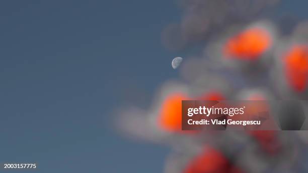 writing a story - table font view stock pictures, royalty-free photos & images