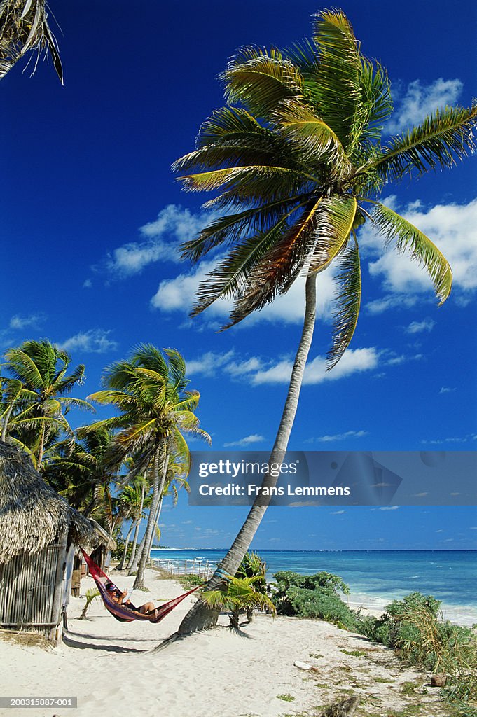 Mature male tourist in hammock reading book on tropical beach