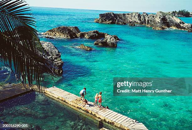 woman and children (5-10) on jetty, elevated view - bermudainseln stock-fotos und bilder