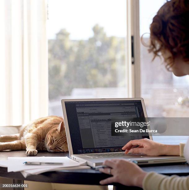 woman using laptop, rear view,  close-up (focus on laptop) - cat back stock pictures, royalty-free photos & images