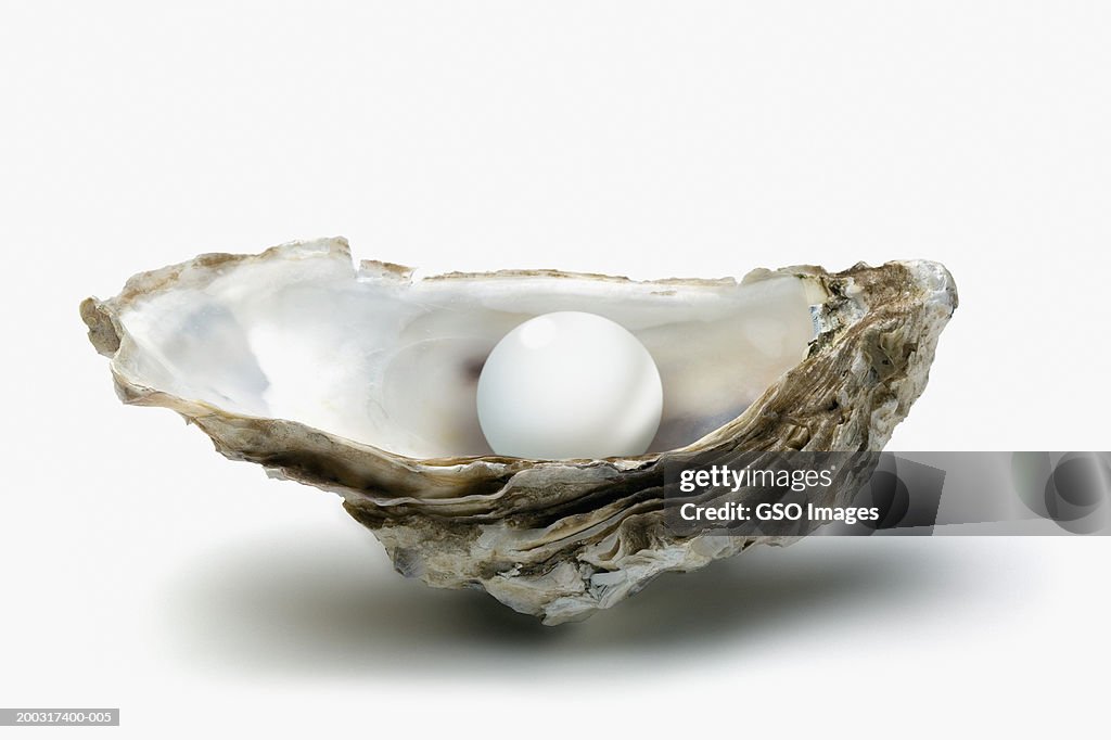 Pearl in oyster shell, close-up