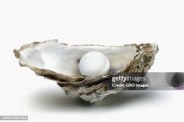 pearl in oyster shell, close-up - oyster pearl stockfoto's en -beelden