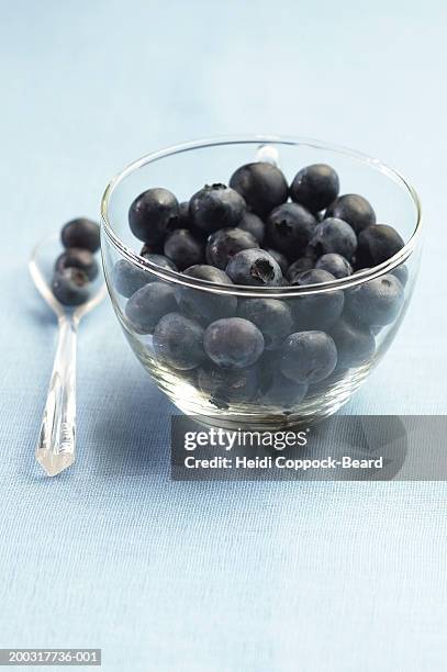 blueberries in glass bowl with spoon - heidi coppock beard stock pictures, royalty-free photos & images