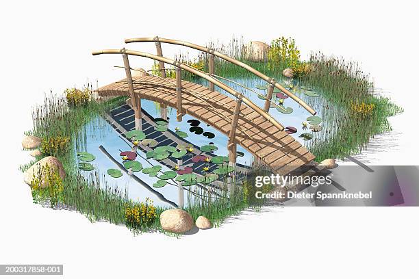 pond with wooden bridge (digital) - wooden bridge stock illustrations
