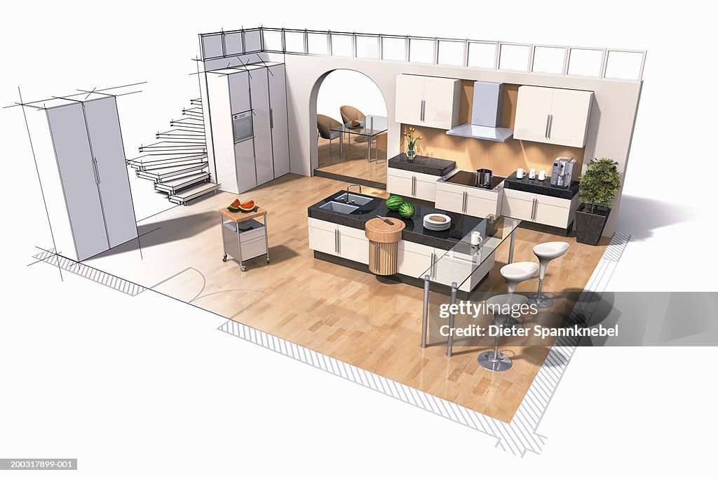 Interior design of kitchen (Digital)