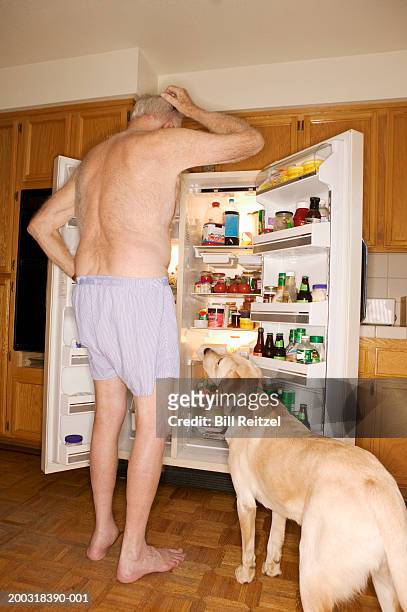 dog beside senior man looking in refrigerator, rear view - funny fridge foto e immagini stock