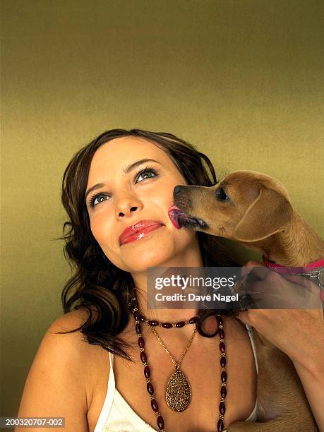 dog licking young woman's face, close-up - cheek tongue stock pictures, royalty-free photos & images