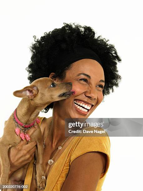 dog kissing young woman, close-up - happy dog on white fotografías e imágenes de stock